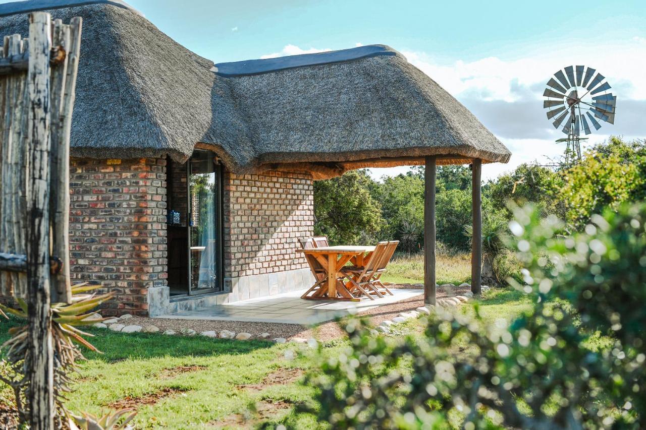 Charihandra Game Lodge 아도 외부 사진