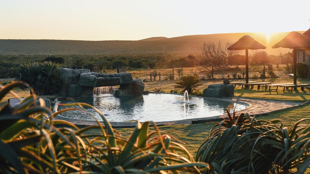 Charihandra Game Lodge 아도 외부 사진
