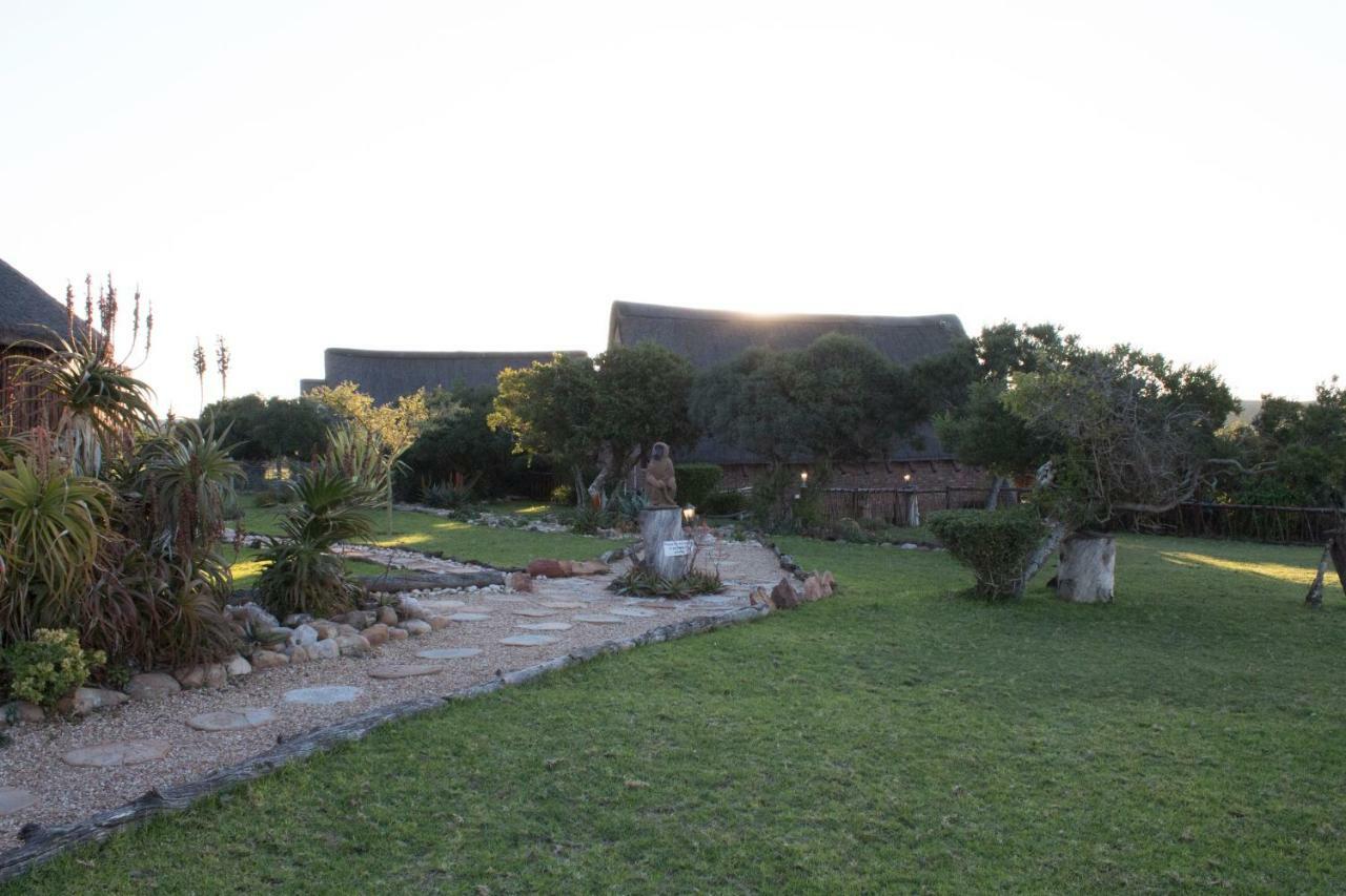 Charihandra Game Lodge 아도 외부 사진